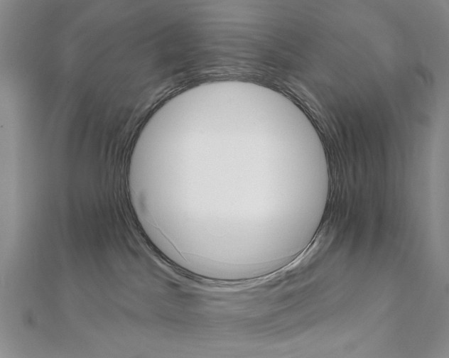 X0000111440045200908241153