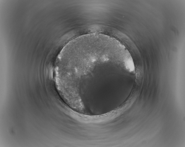 X0000111440046200908241153