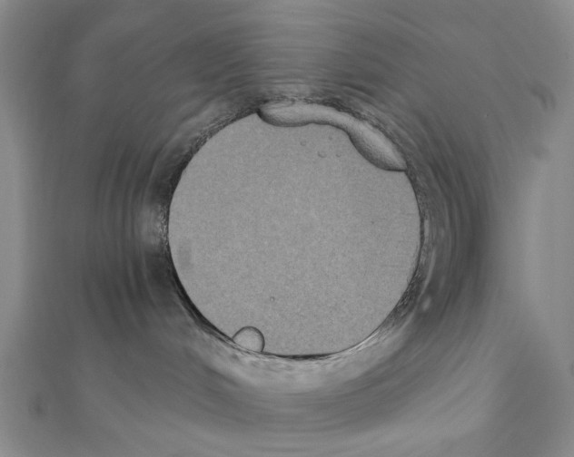 X0000111440048200908241153