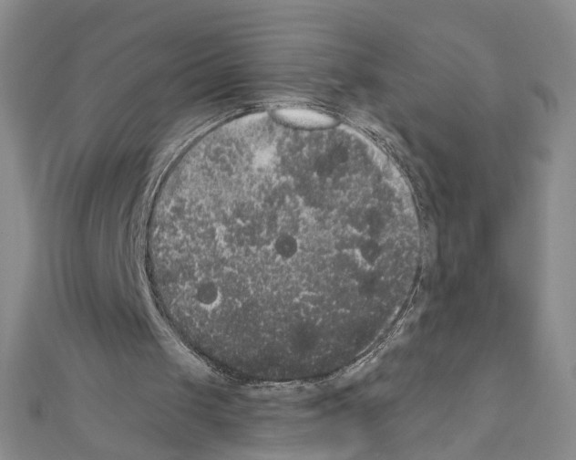 X0000111440049200908241152