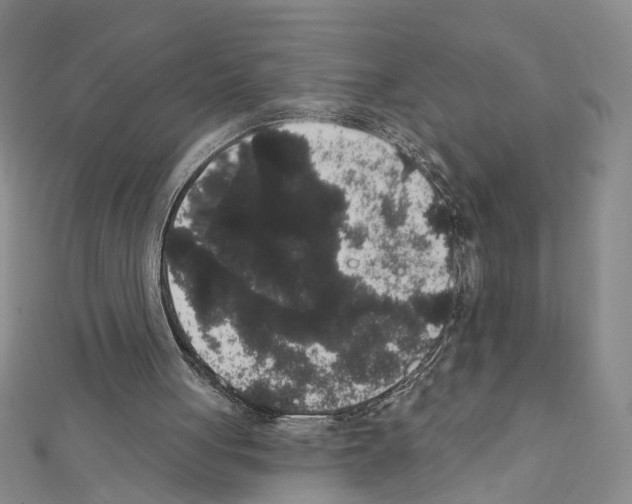 X0000111440051200908241153