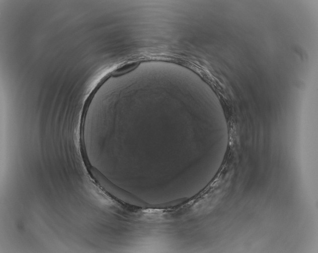 X0000111440052200908241153