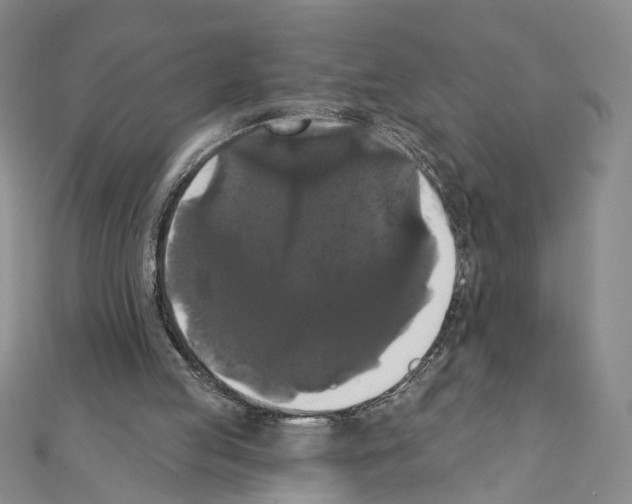X0000111440053200908241153