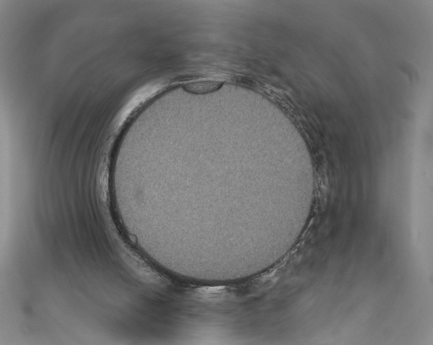 X0000111440054200908241153