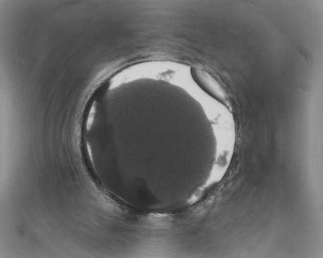 X0000111440055200908241153