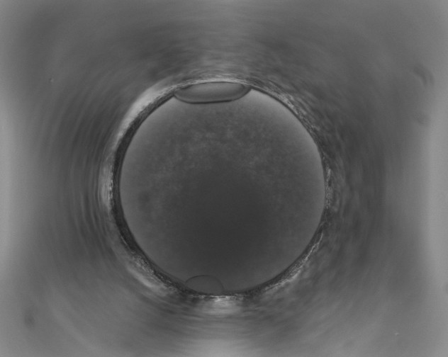 X0000111440056200908241153