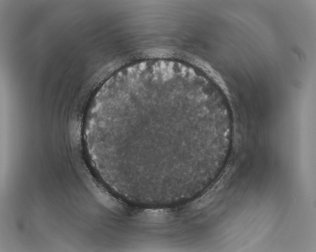 X0000111440057200908241153