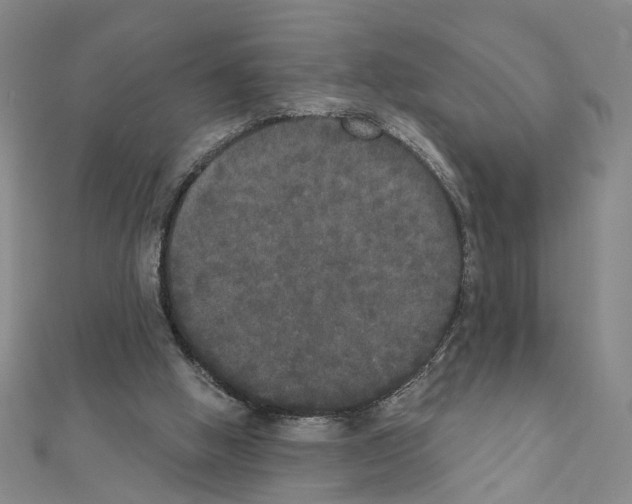 X0000111440058200908241153