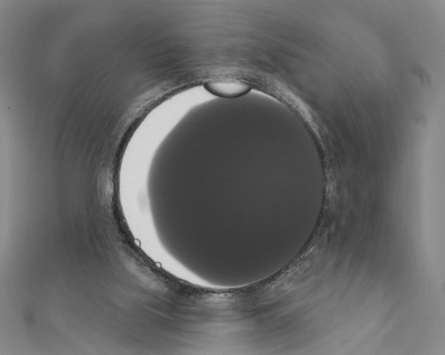 X0000111440059200908241153