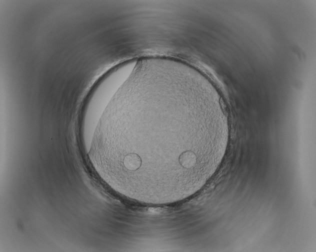 X0000111440060200908241153