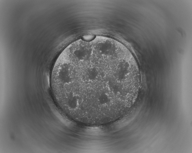 X0000111440061200908241153