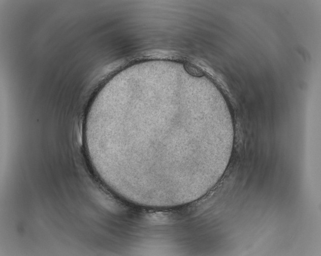 X0000111440062200908241153