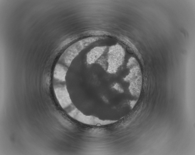 X0000111440063200908241153