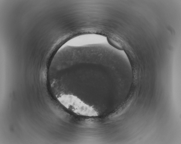 X0000111440064200908241153