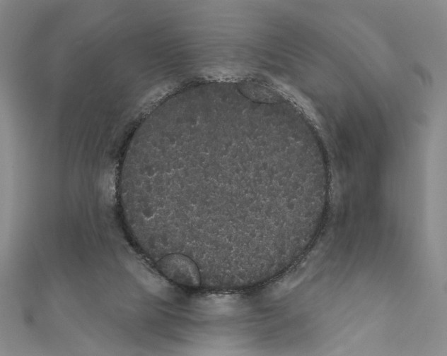 X0000111440065200908241153