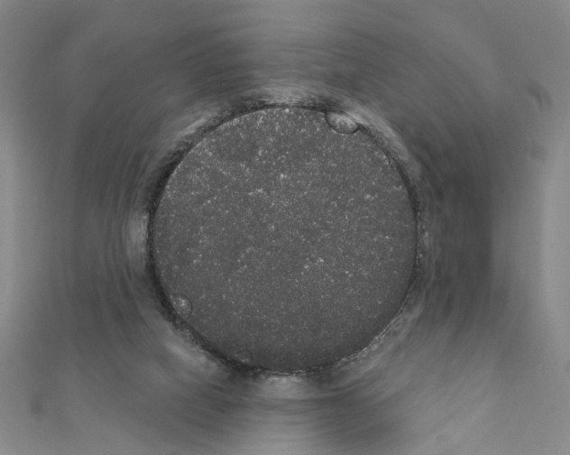 X0000111440066200908241153
