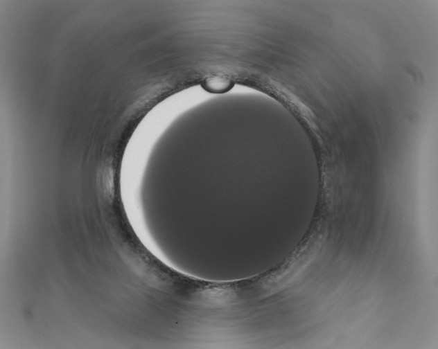X0000111440067200908241153
