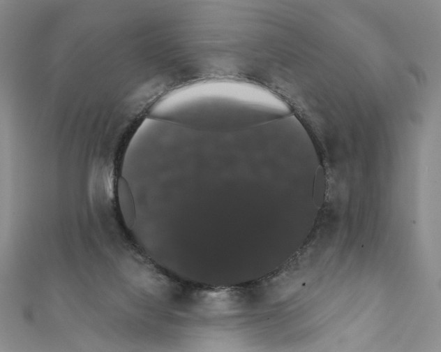 X0000111440068200908241153
