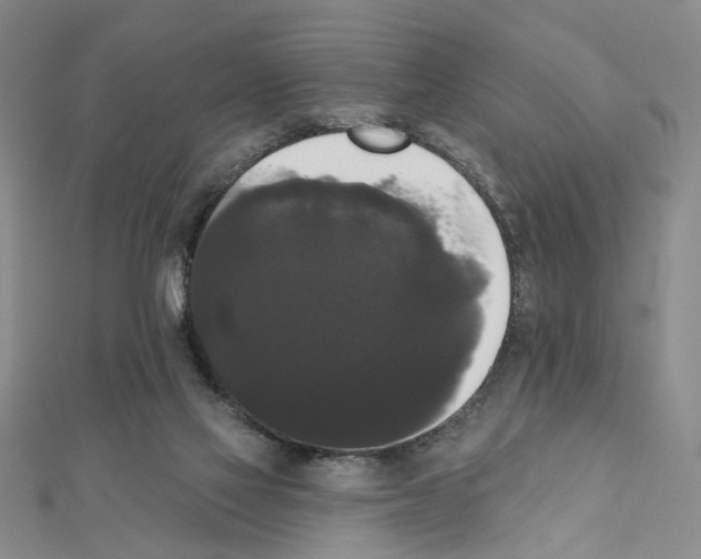 X0000111440069200908241153