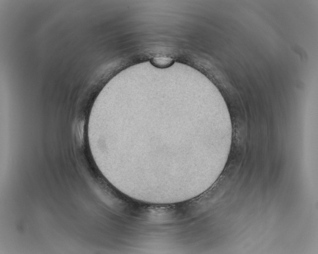 X0000111440070200908241153
