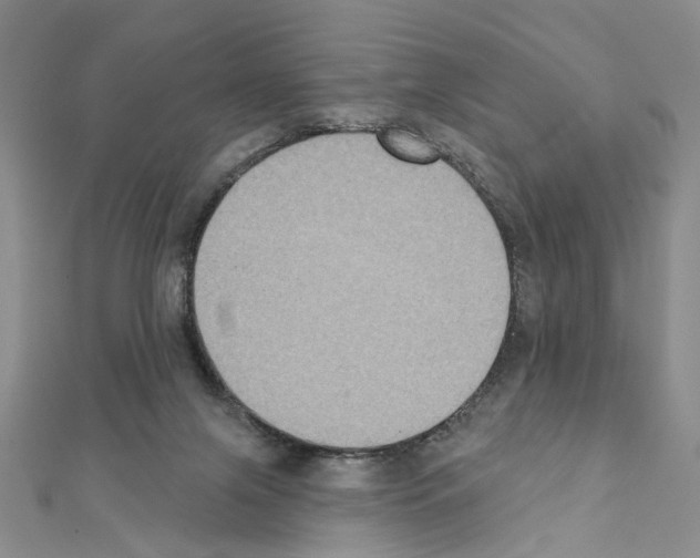 X0000111440071200908241153