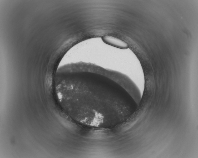 X0000111440072200908241153