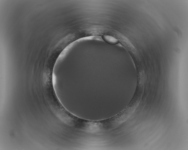 X0000111440073200908241153