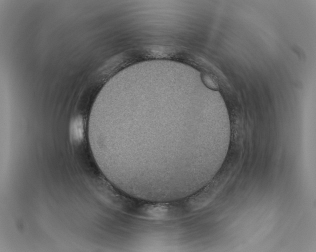X0000111440075200908241153
