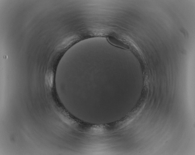 X0000111440076200908241153