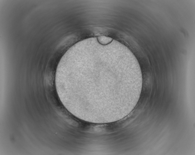 X0000111440078200908241153