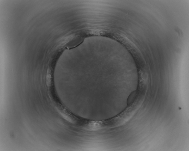 X0000111440080200908241153
