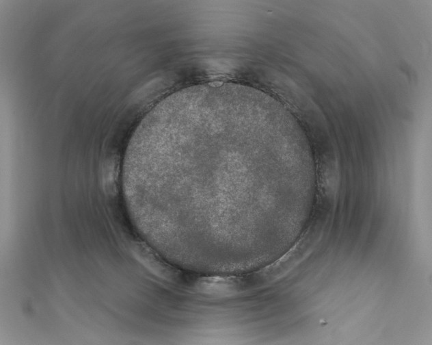 X0000111440082200908241153