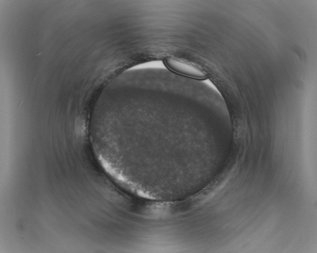 X0000111440084200908241153
