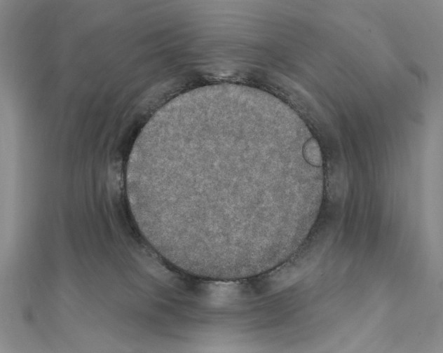 X0000111440085200908241153