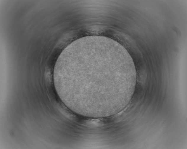 X0000111440086200908241153