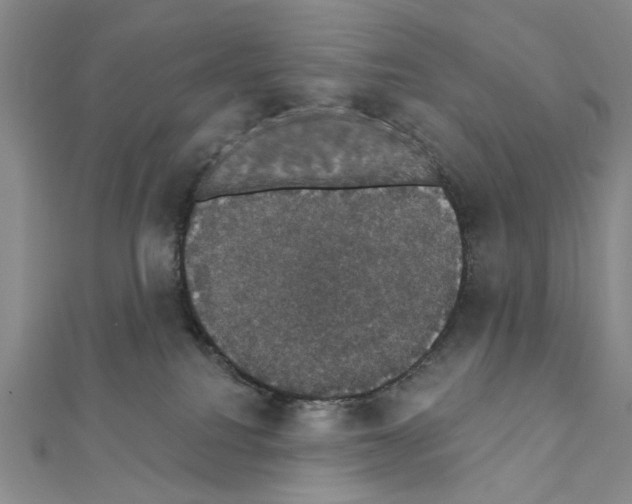 X0000111440088200908241153