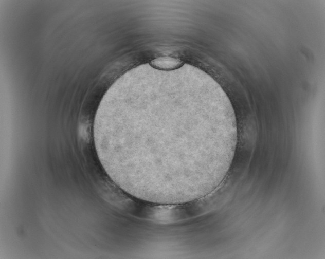 X0000111440090200908241153