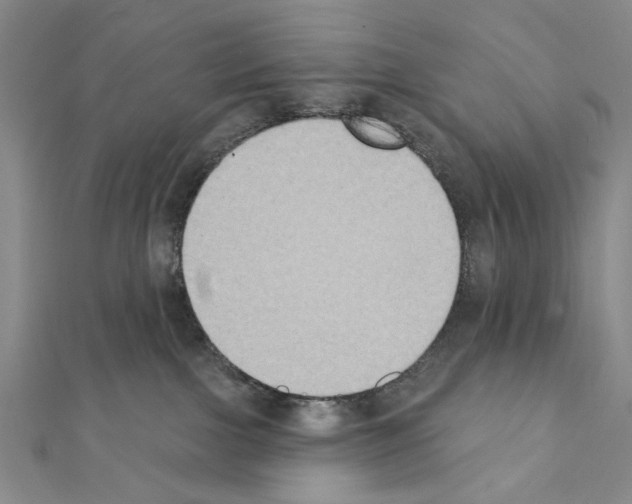 X0000111440091200908241153