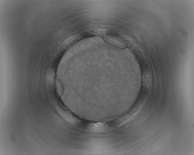 X0000111440092200908241153