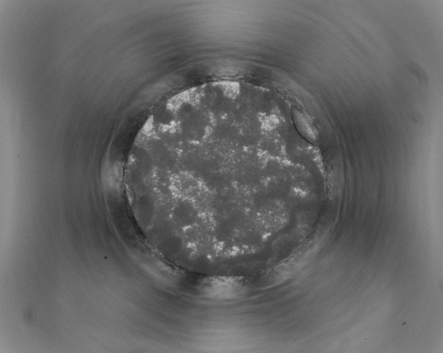 X0000111440093200908241153