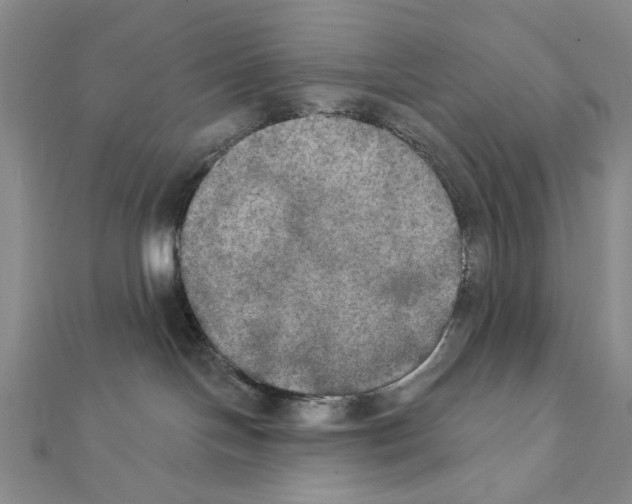 X0000111440094200908241153