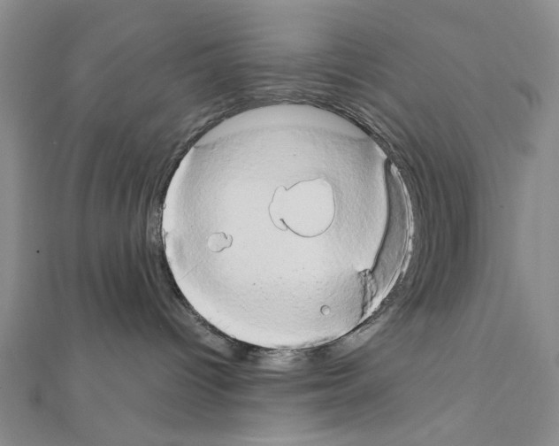 X0000111440096200908241153