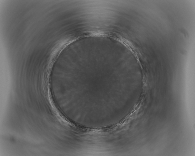 X0000111440097200908241152
