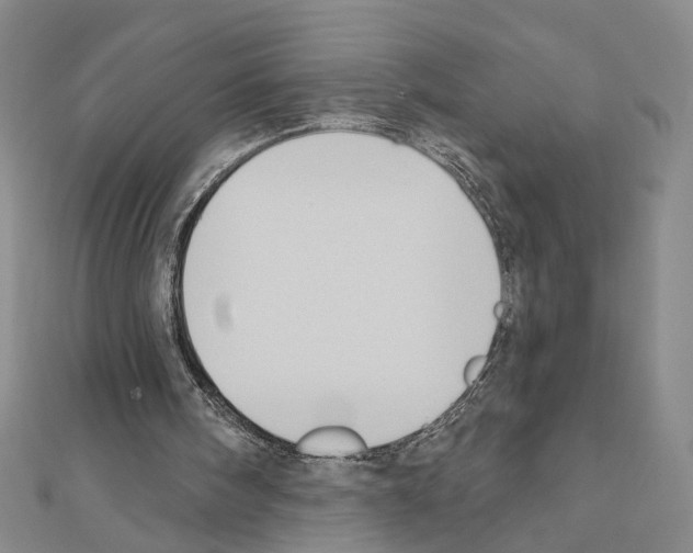 X0000111440098200908241152