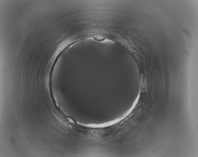 X0000111440099200908241152