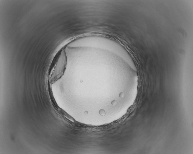 X0000111440100200908241152