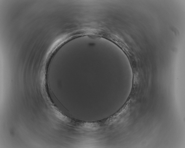 X0000111440101200908241152