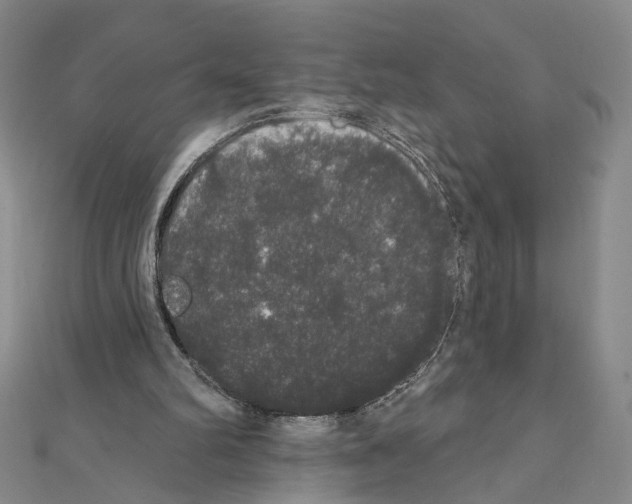 X0000111440102200908241152