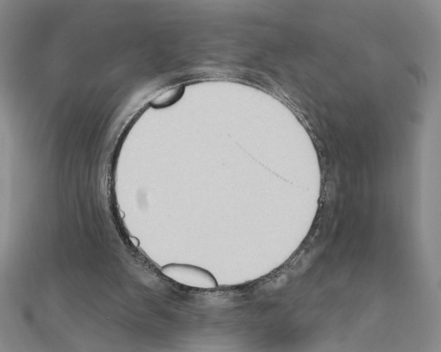X0000111440103200908241152