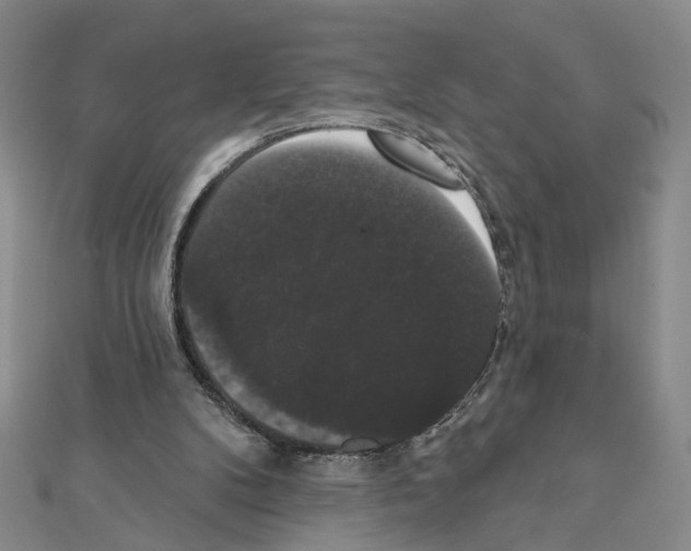 X0000111440104200908241152